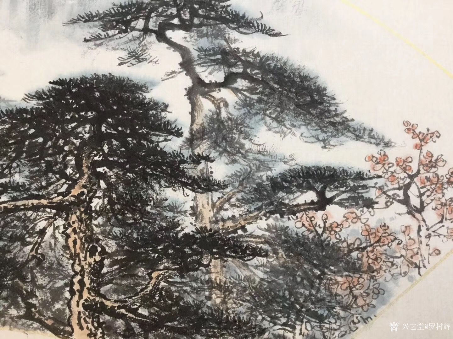 罗树辉日记:新创作扇面《迴响》,国画苍松,请欣赏_兴艺堂