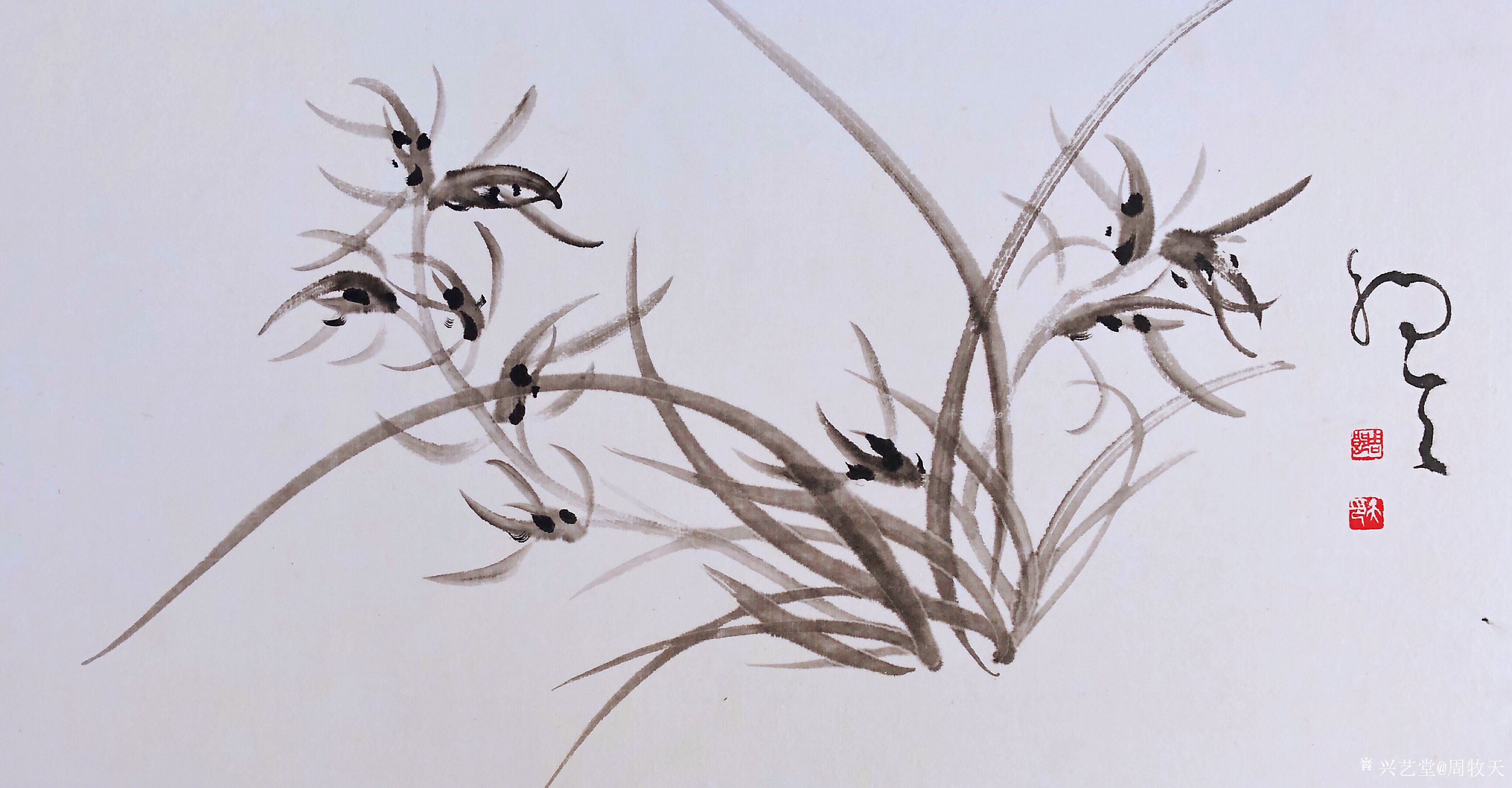 周牧天国画兰花40幅