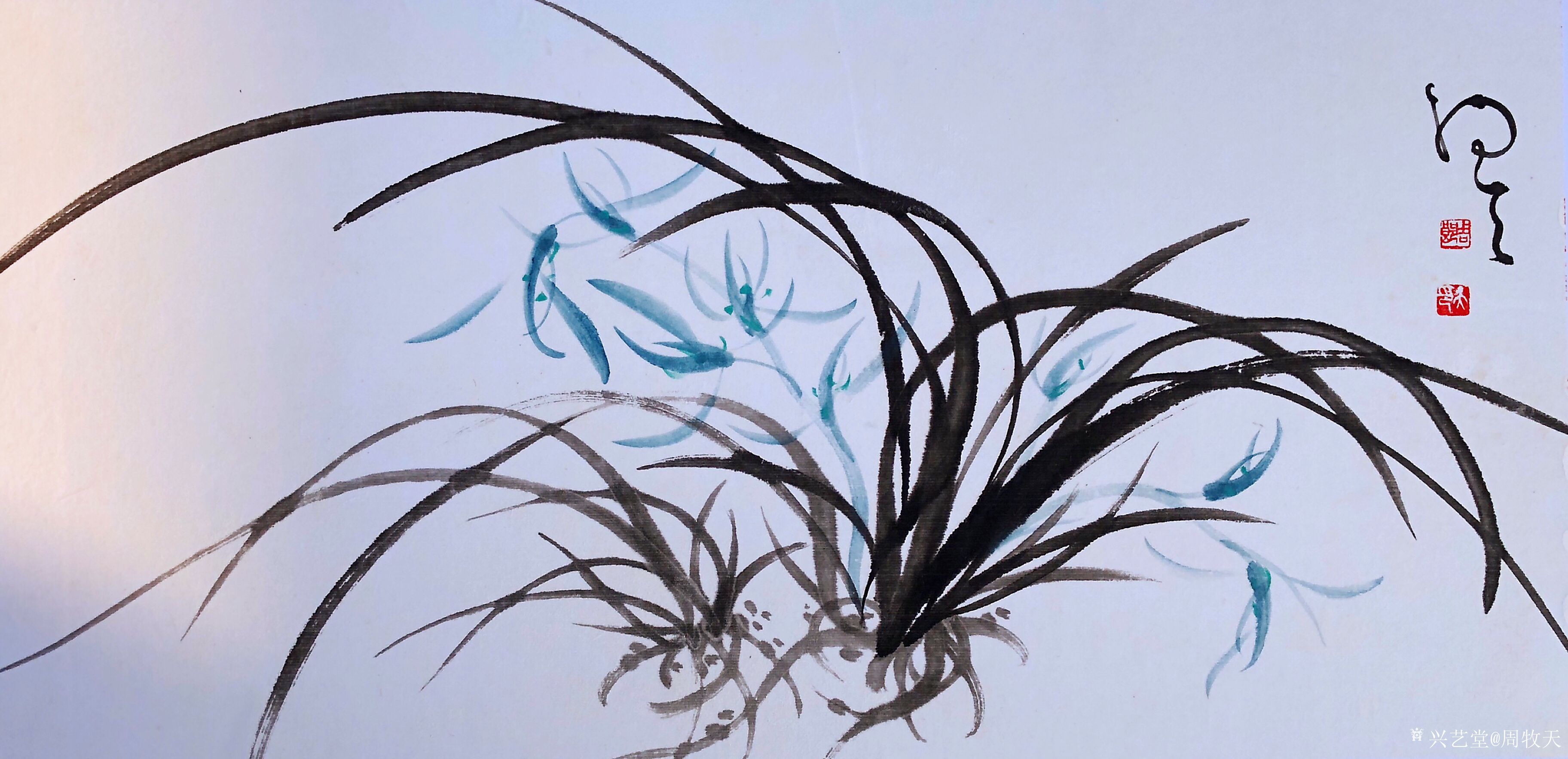 周牧天国画兰花,40幅