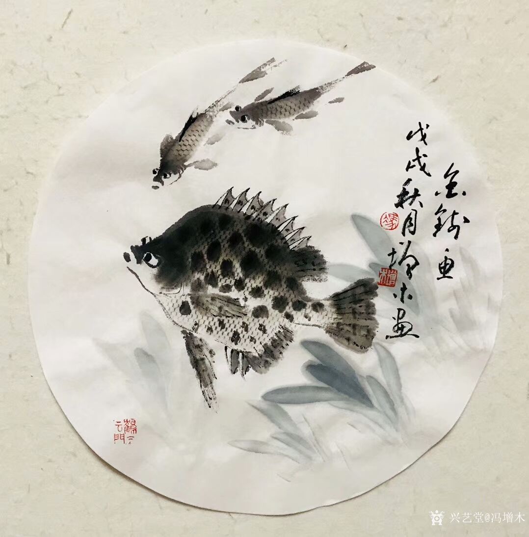 冯增木日记-近作小品斗方扇面国画鱼作品选发,《春风得意》,《富贵图