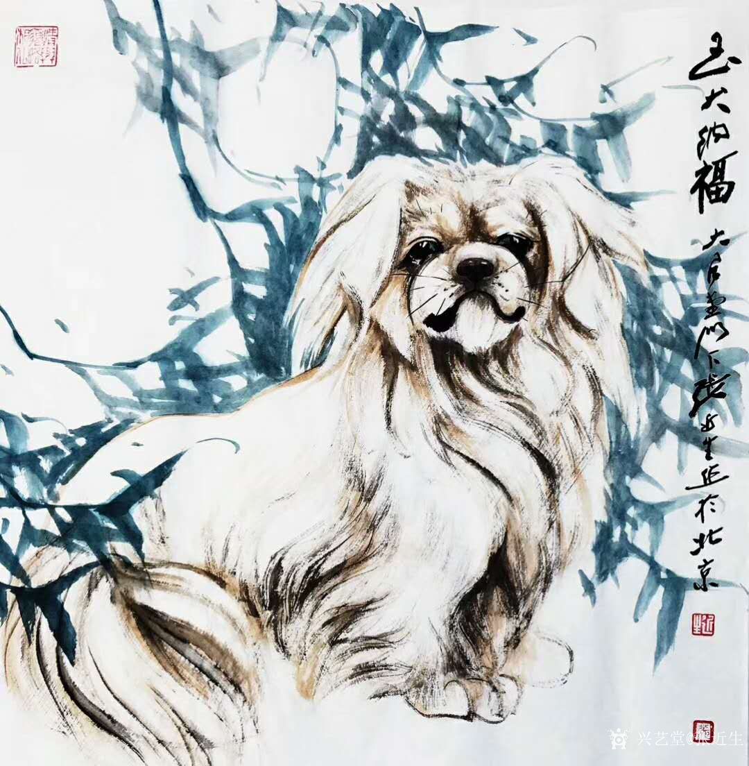 小张：油画《狗》|纯艺术|绘画|張曉晴 - 原创作品 - 站酷 (ZCOOL)