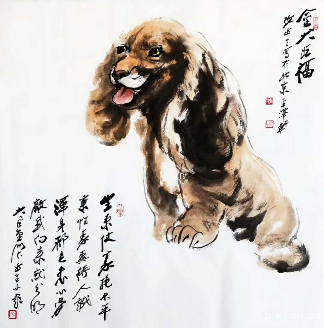 刘和平日记:创作一组狗狗头像小品，国画动物写意，刘和平作_兴艺堂