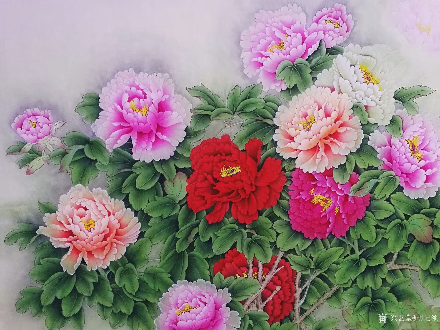 艺术家胡记领日记:国画花鸟工笔画牡丹系列《花开富贵》,尺寸六尺横幅