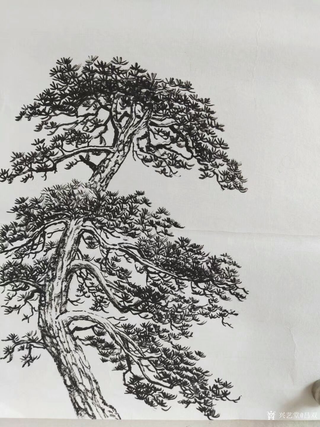 吕双日记:国画如何画树杆?树枝的趋向和疏密，组合起来才算是一颗完整的大_兴艺堂