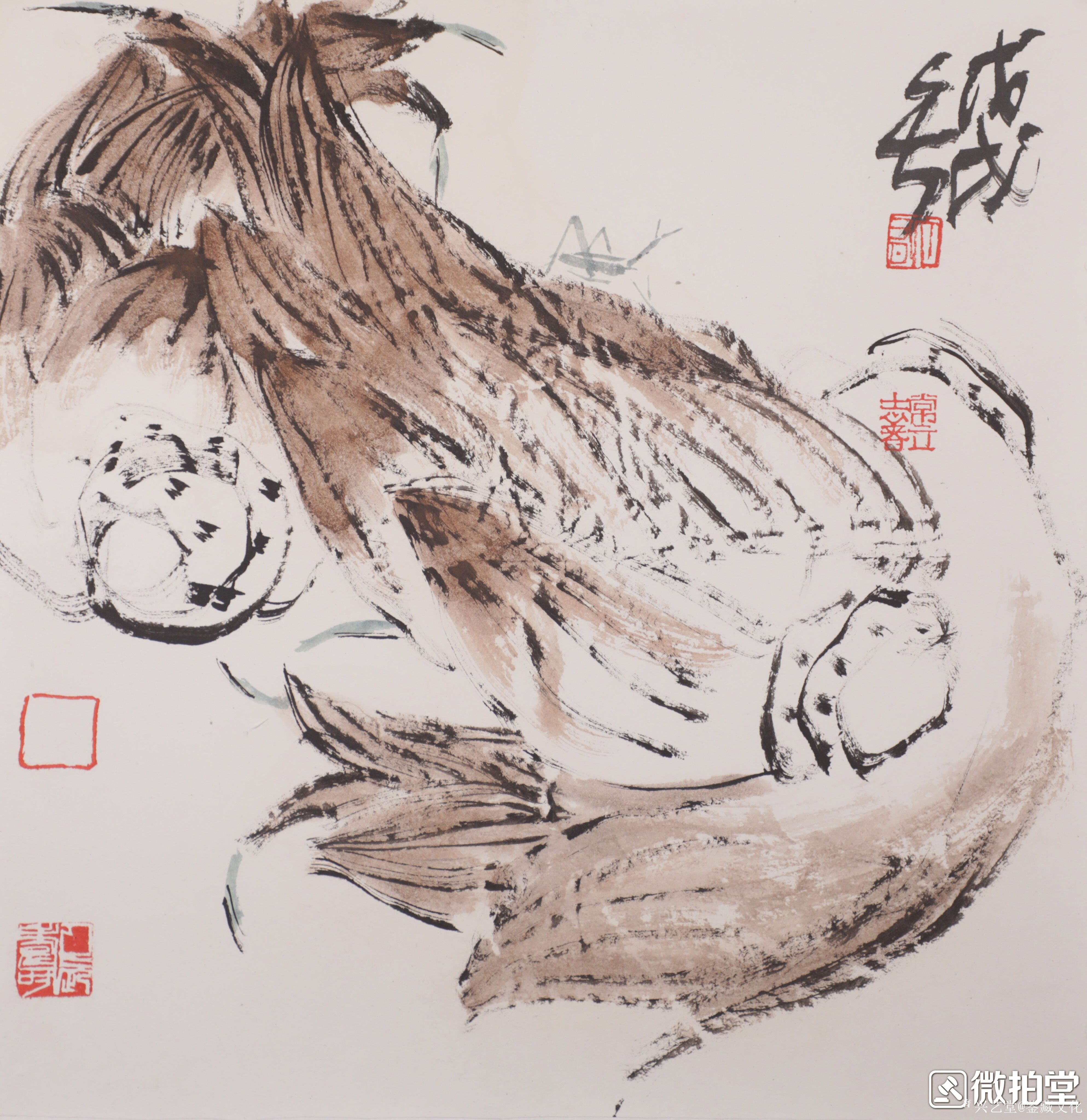 鉴藏文化收藏-崔大有,原名崔启仲,号石缶.生于1991年,江苏徐州沛县人.