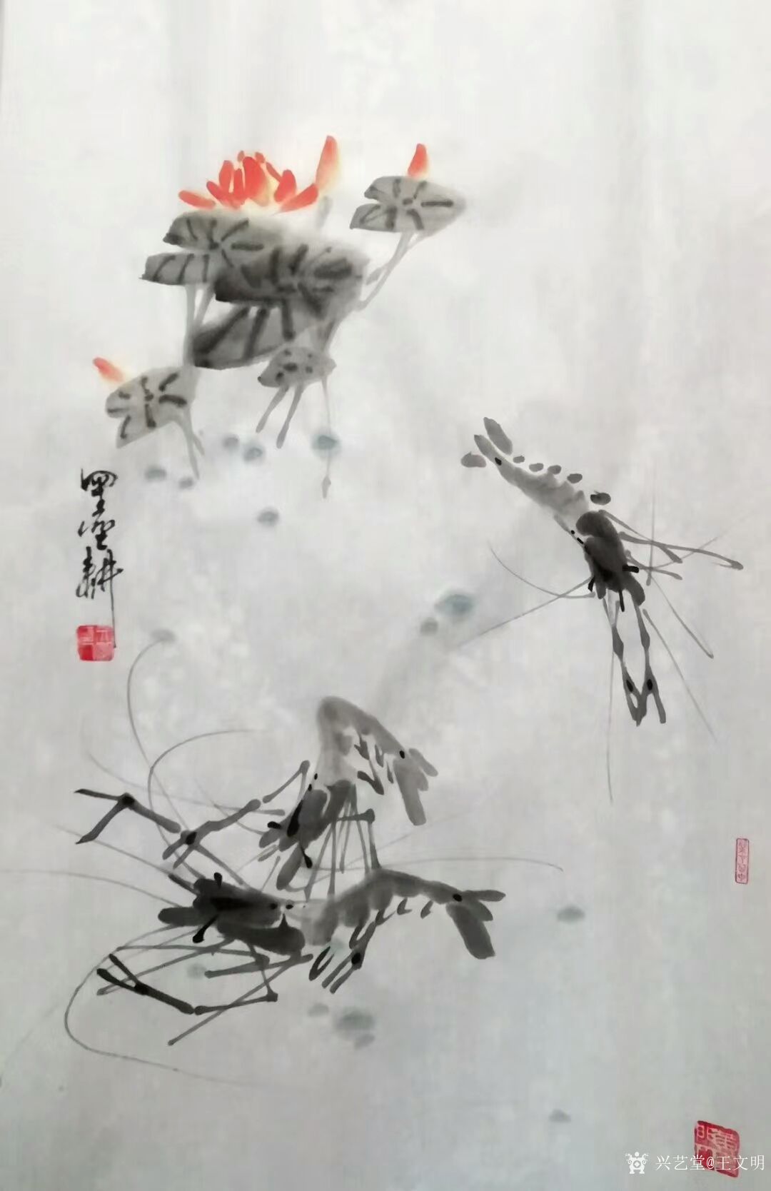 国画虾设计图__绘画书法_文化艺术_设计图库_昵图网nipic.com