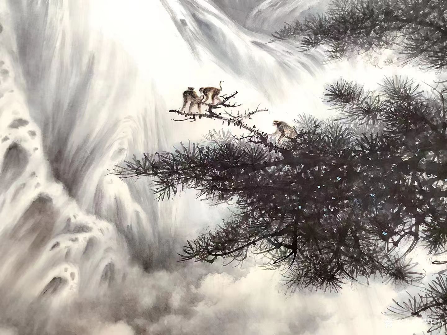 罗树辉日记:国画花鸟画四尺整纸《崖松飞瀑》,壬寅年秋月罗树辉创作。 借_兴艺堂