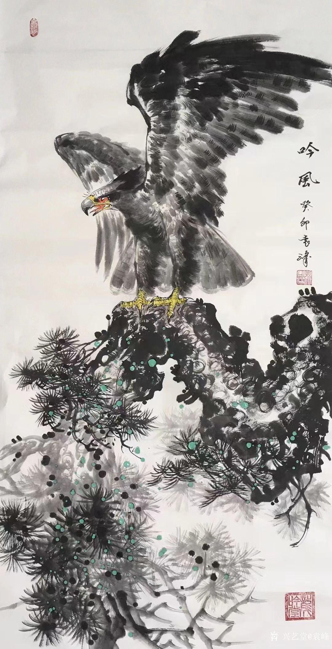 袁峰日记:国画花鸟画鹰系列作品《吟风》《展翅高飞》,袁峰葵卯年作品。_兴艺堂