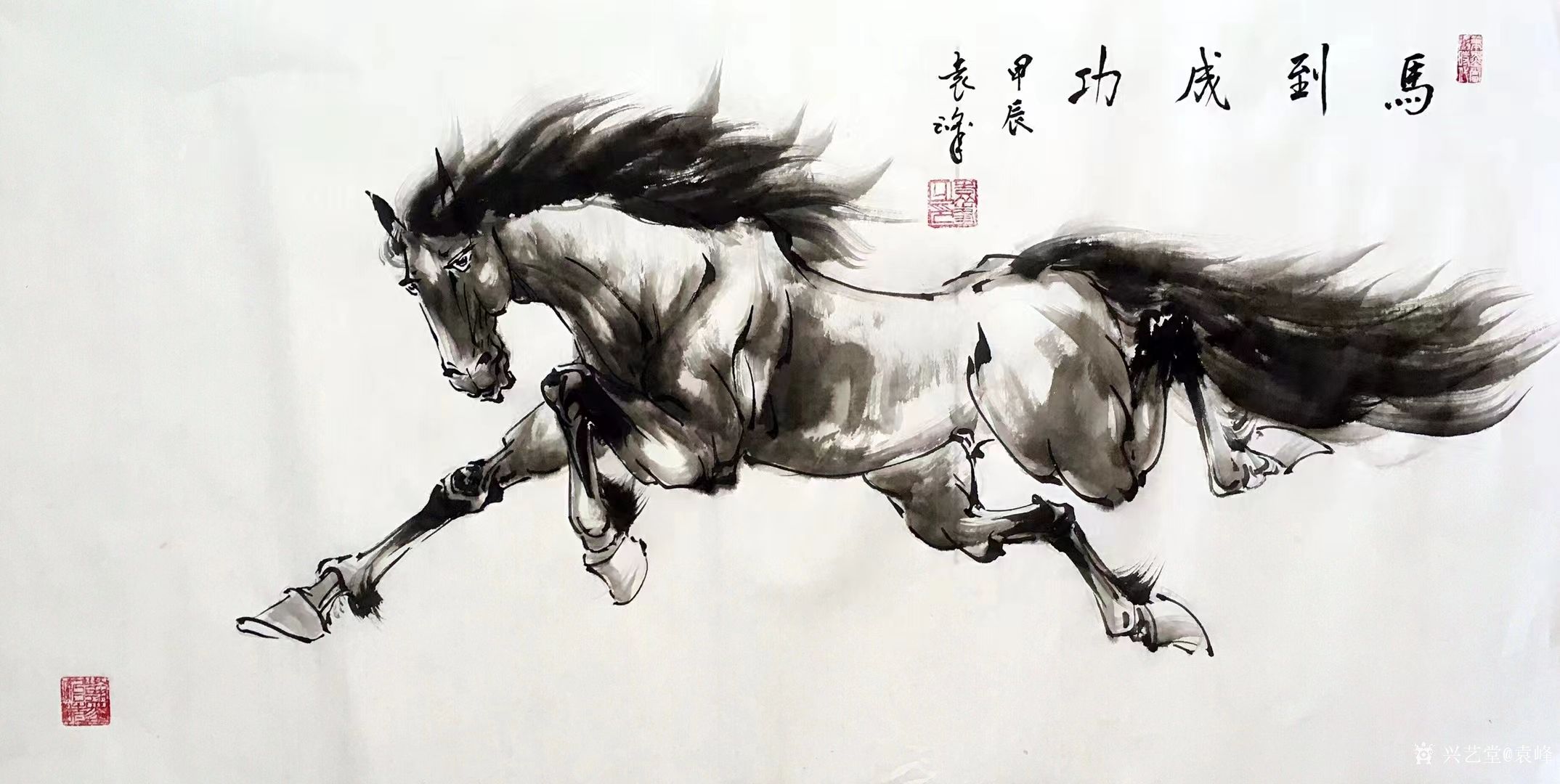 袁峰日记:国画动物画水墨写意画马系列作品《自强不息》《勇往直前》《马到_兴艺堂