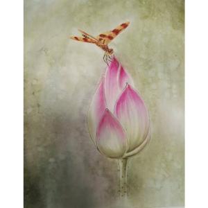 艺术品图片：艺术家赵志民国画作品名称《【蜻蜓立荷尖】作者赵志民》价格2400.00 元