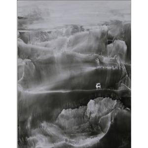 艺术品图片：艺术家覃时明月油画作品名称《【幻象画2】作者覃时明月》价格60000.00 元