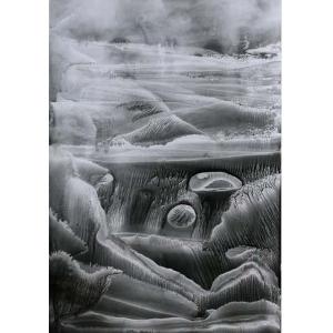 艺术品图片：艺术家覃时明月油画作品名称《【幻象画5】作者覃时明月》价格60000.00 元