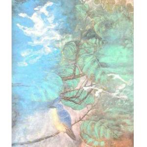 艺术品图片：艺术家范云平国画作品名称《【花鸟】作者范云平》价格1920.00 元