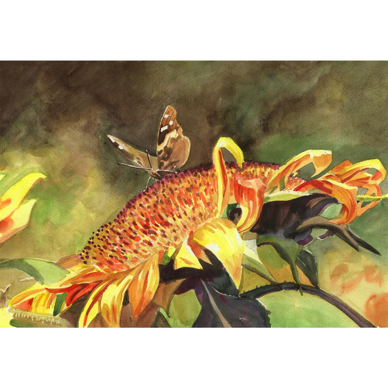 杨阳国画作品《【向日葵】作者杨阳》