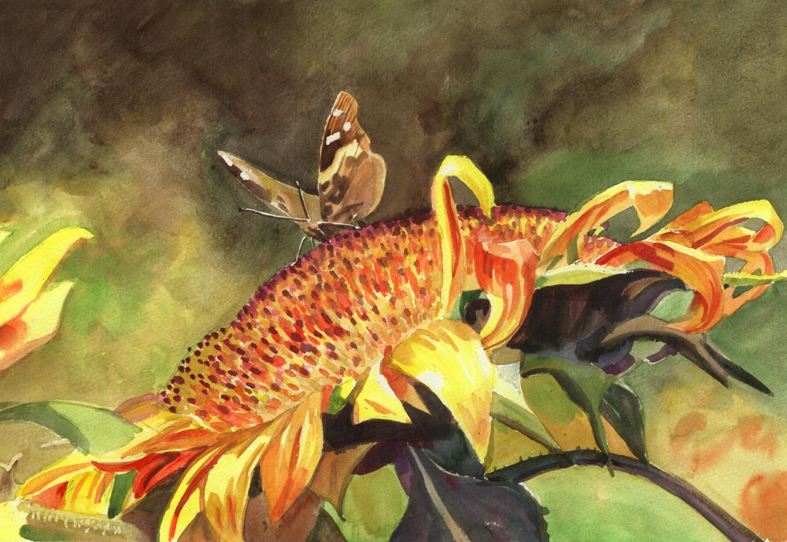 杨阳国画作品《【向日葵】作者杨阳》【图0】