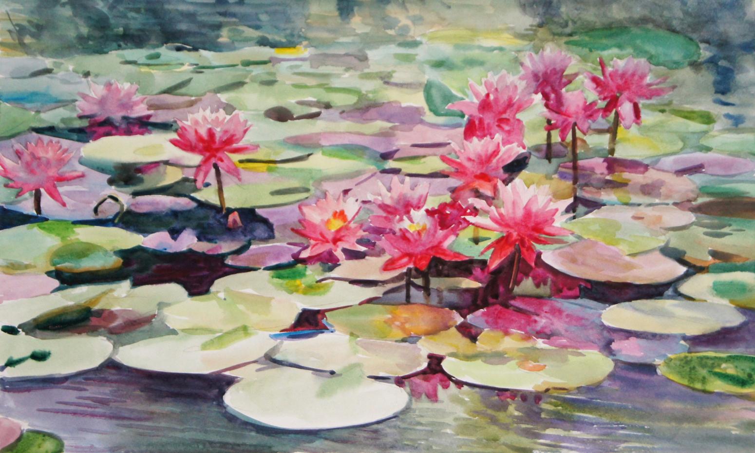 杨阳国画作品《【睡莲】作者杨阳》【图0】