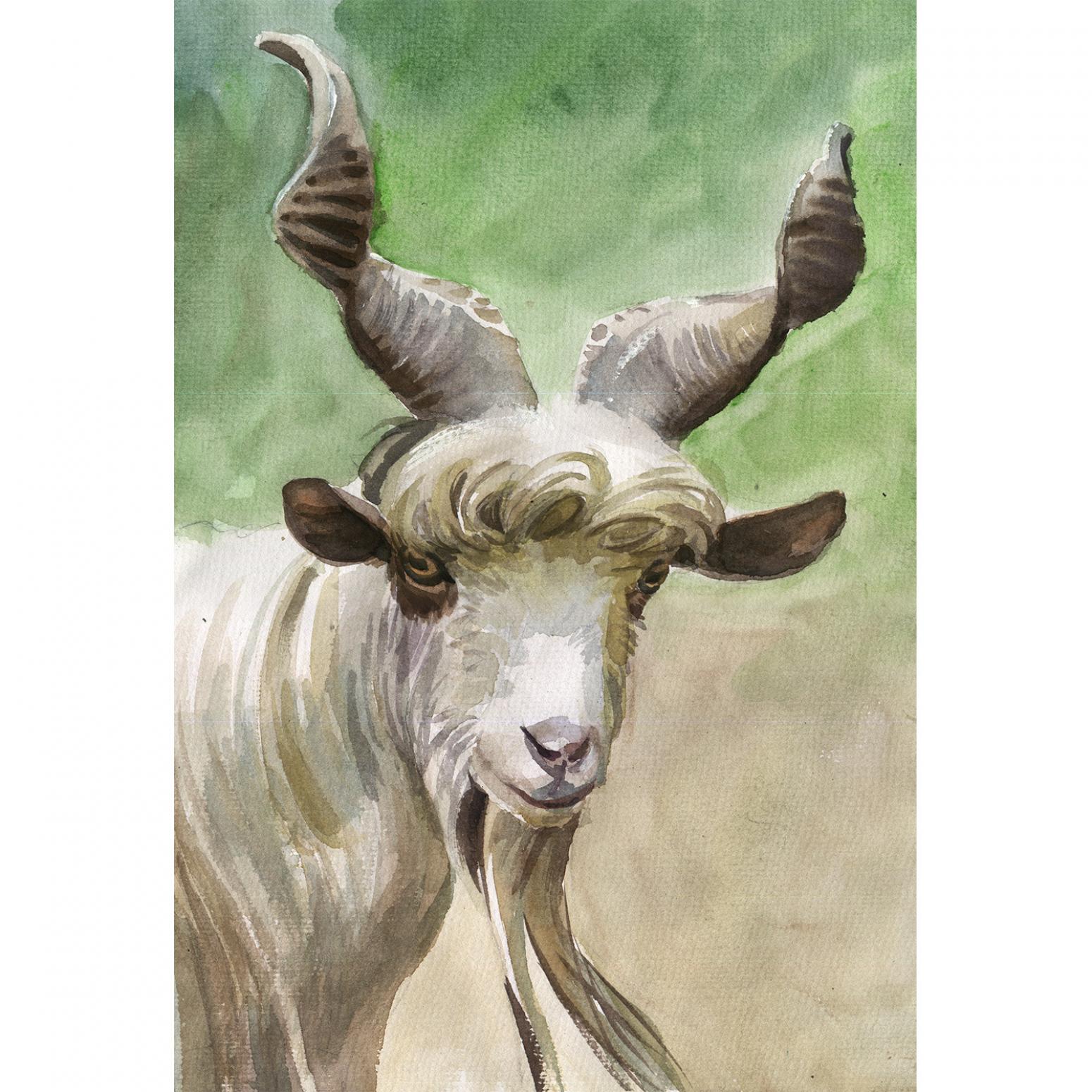 杨阳国画作品《【羊叔的微笑】作者杨阳》