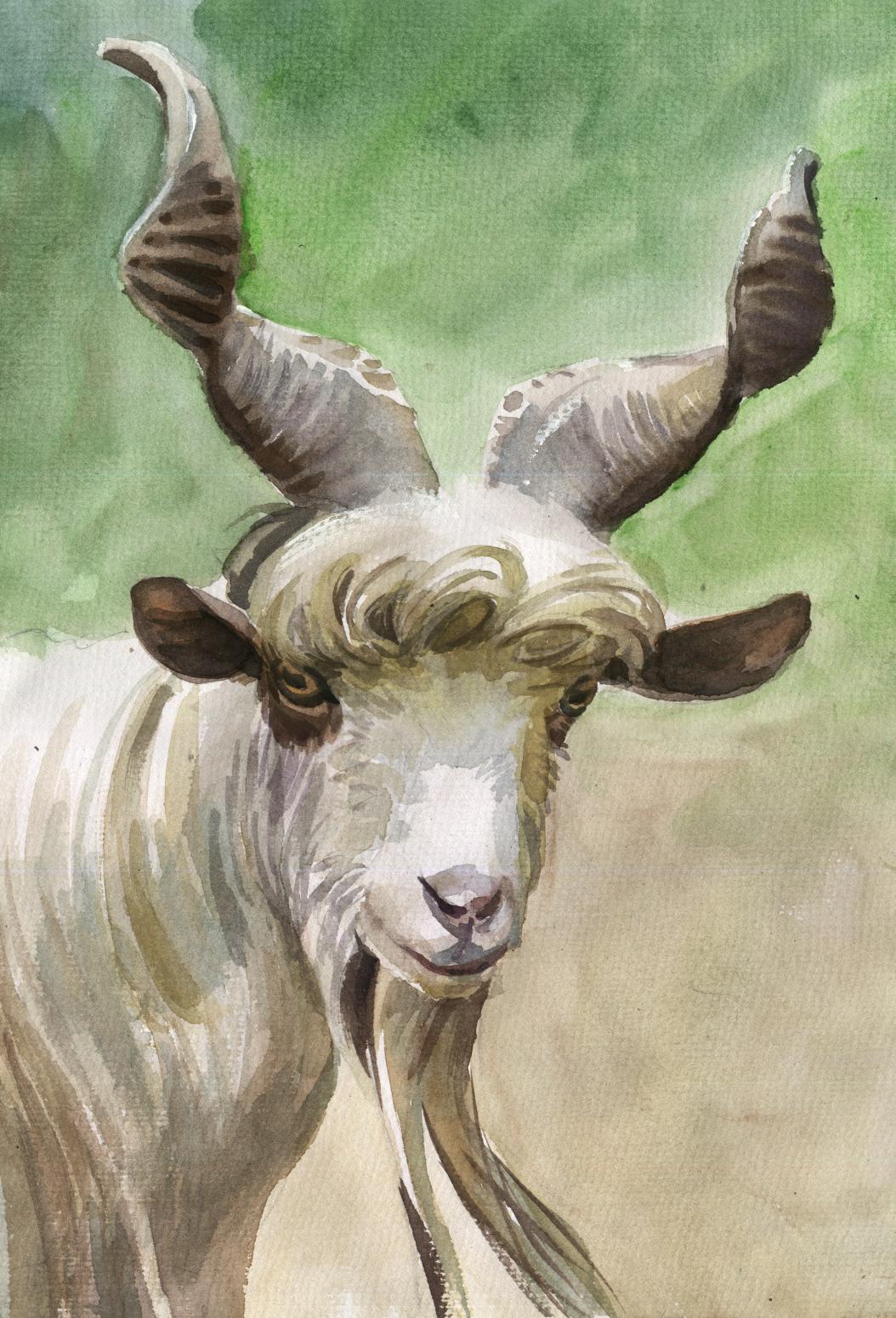 杨阳国画作品《【羊叔的微笑】作者杨阳》【图0】