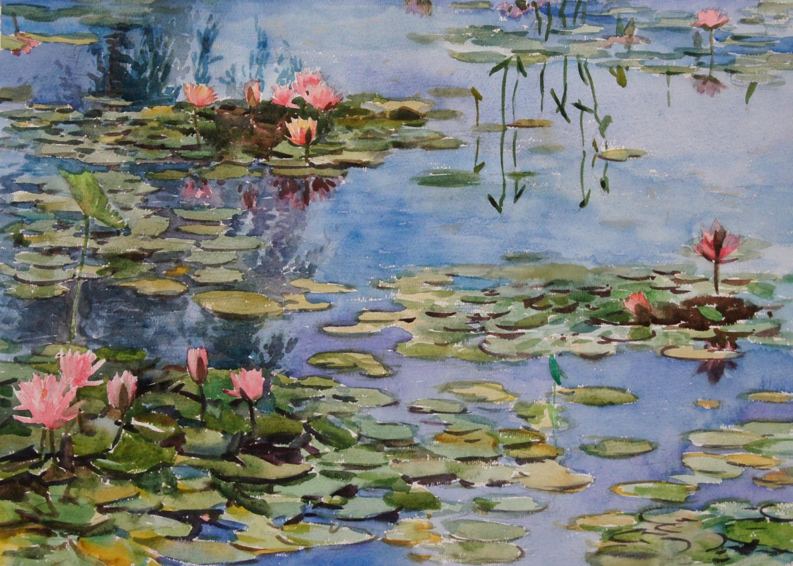 杨阳国画作品《【睡莲】作者杨阳》【图0】