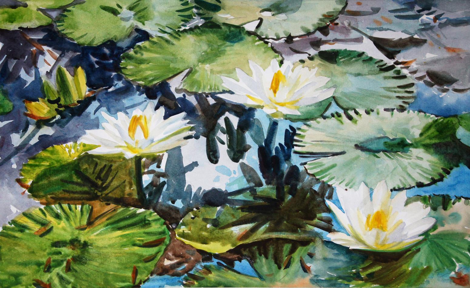 杨阳国画作品《【睡莲】作者杨阳》【图0】