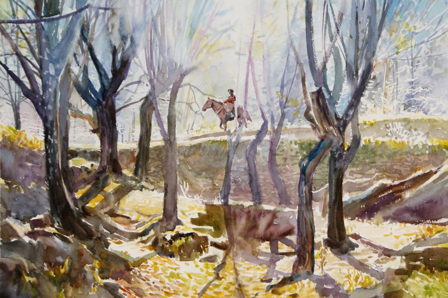 杨阳国画作品《【丹巴山景】作者杨阳》【图0】