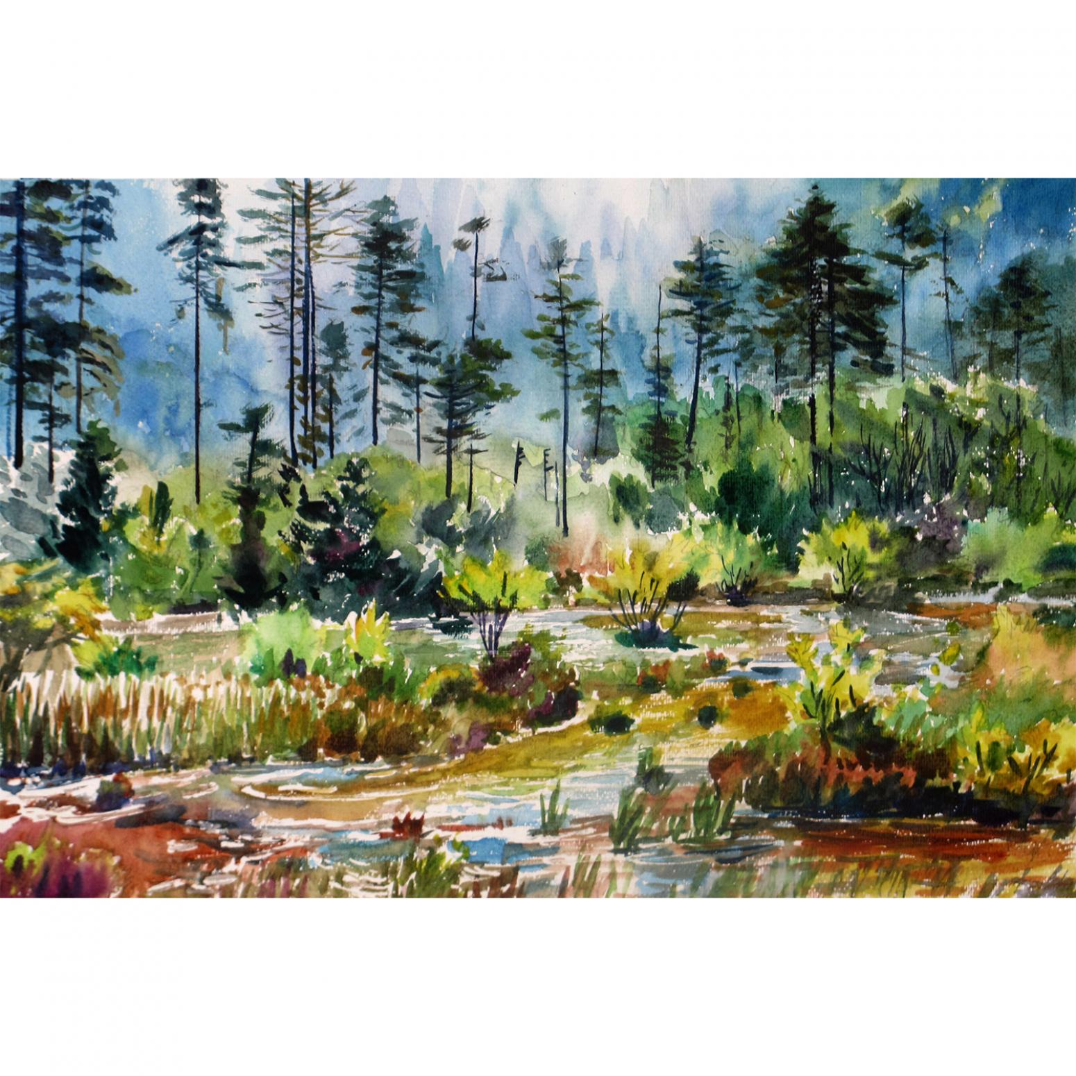 杨阳国画作品《【九寨沟】作者杨阳》