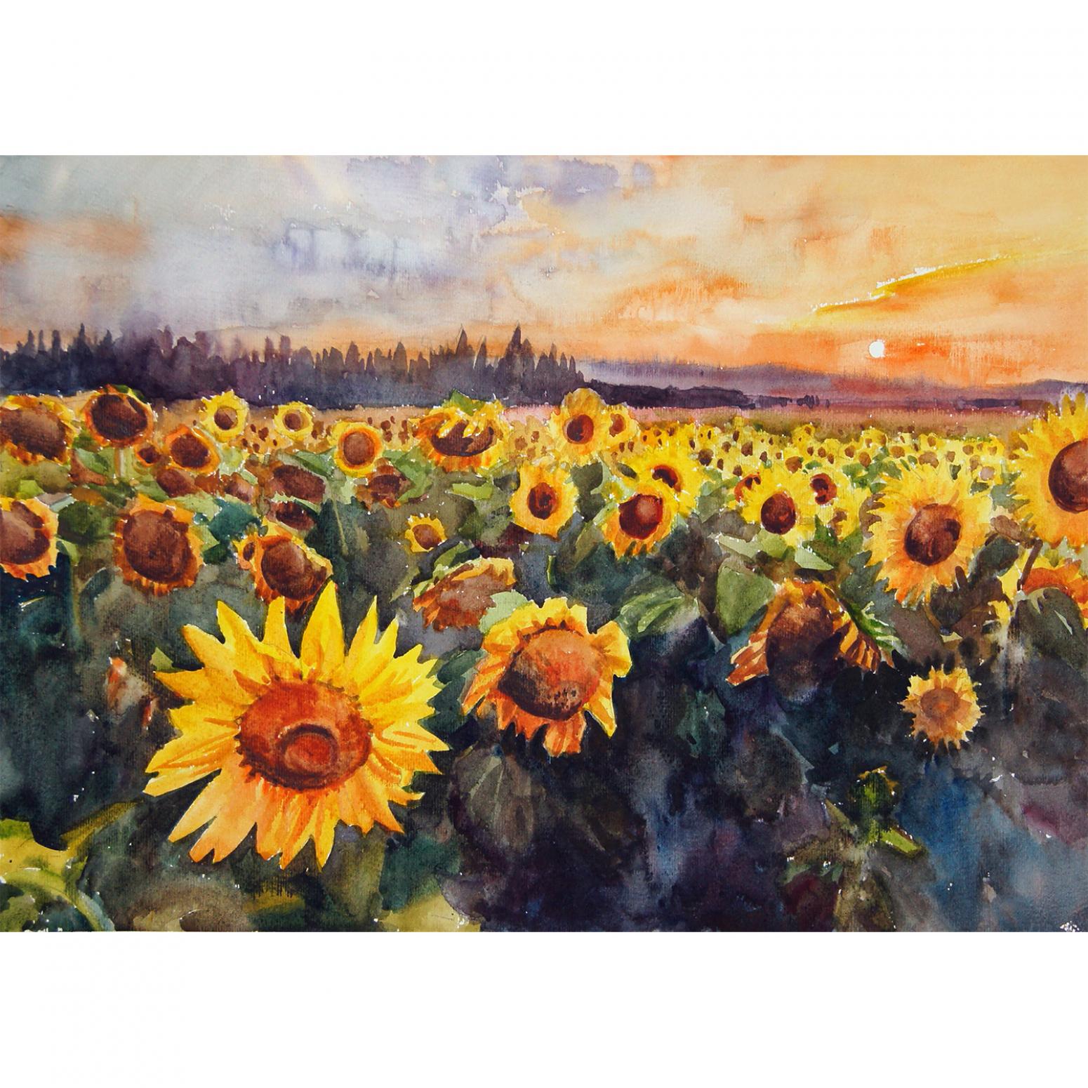 杨阳国画作品《【日出花田】作者杨阳》