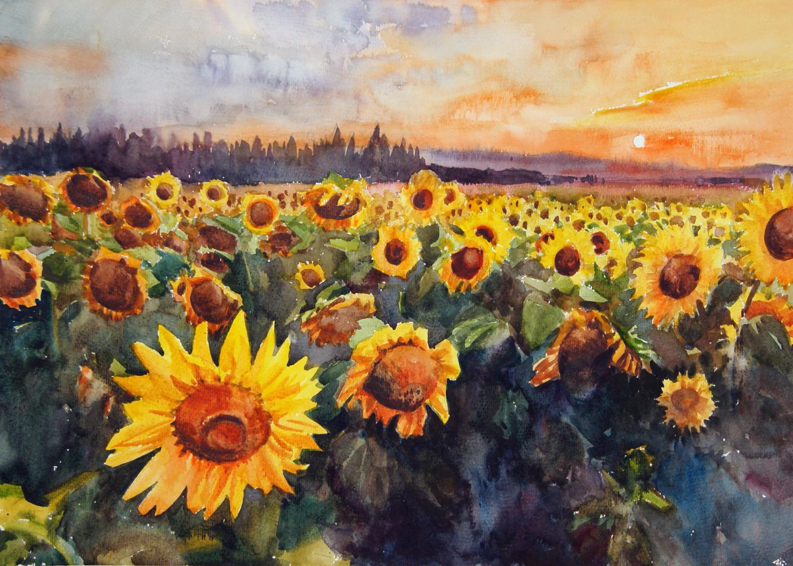 杨阳国画作品《【日出花田】作者杨阳》【图0】