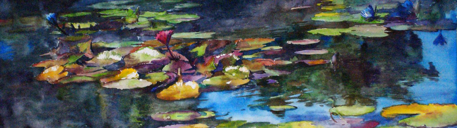 杨阳国画作品《【睡莲】作者杨阳》【图0】