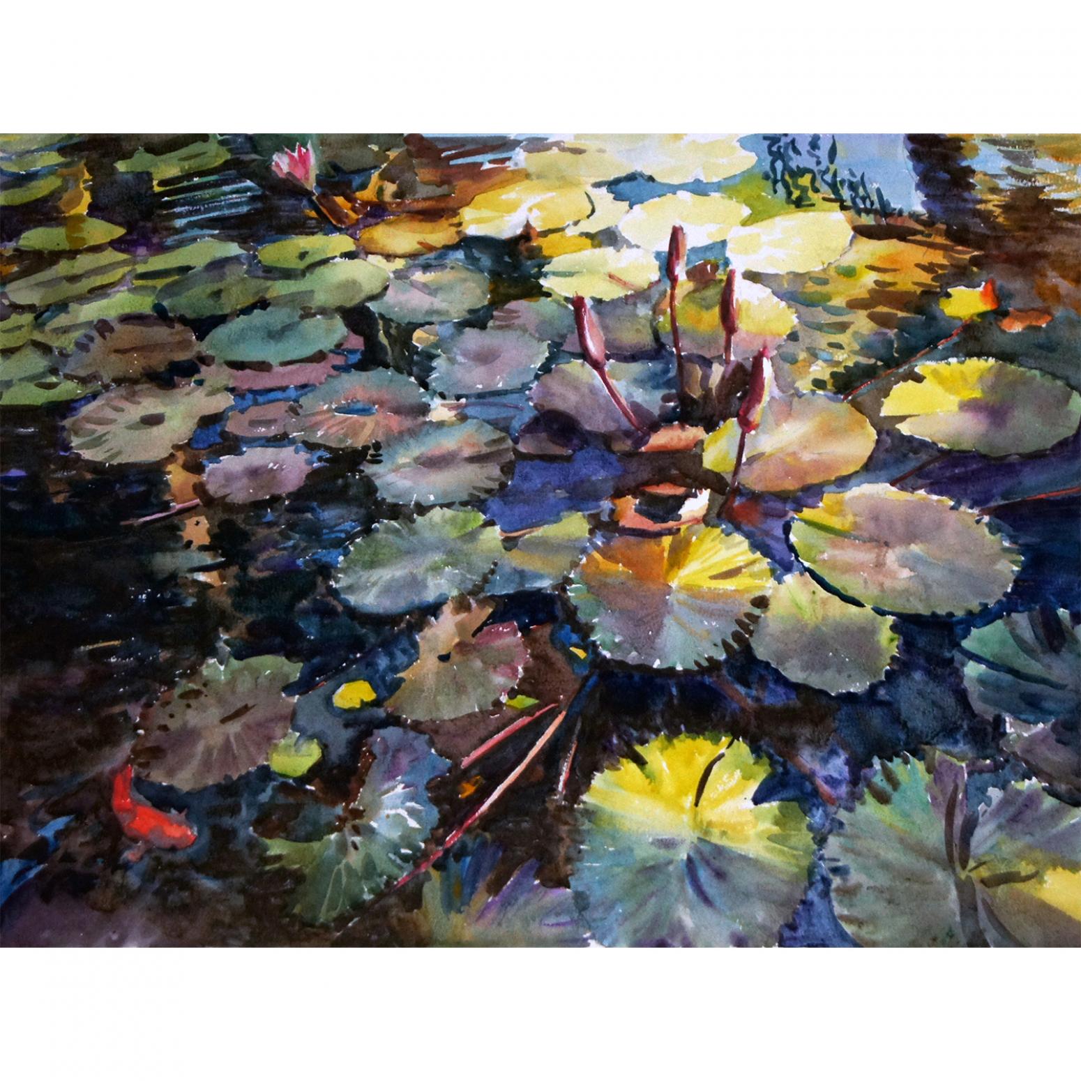 杨阳国画作品《【睡莲】作者杨阳》