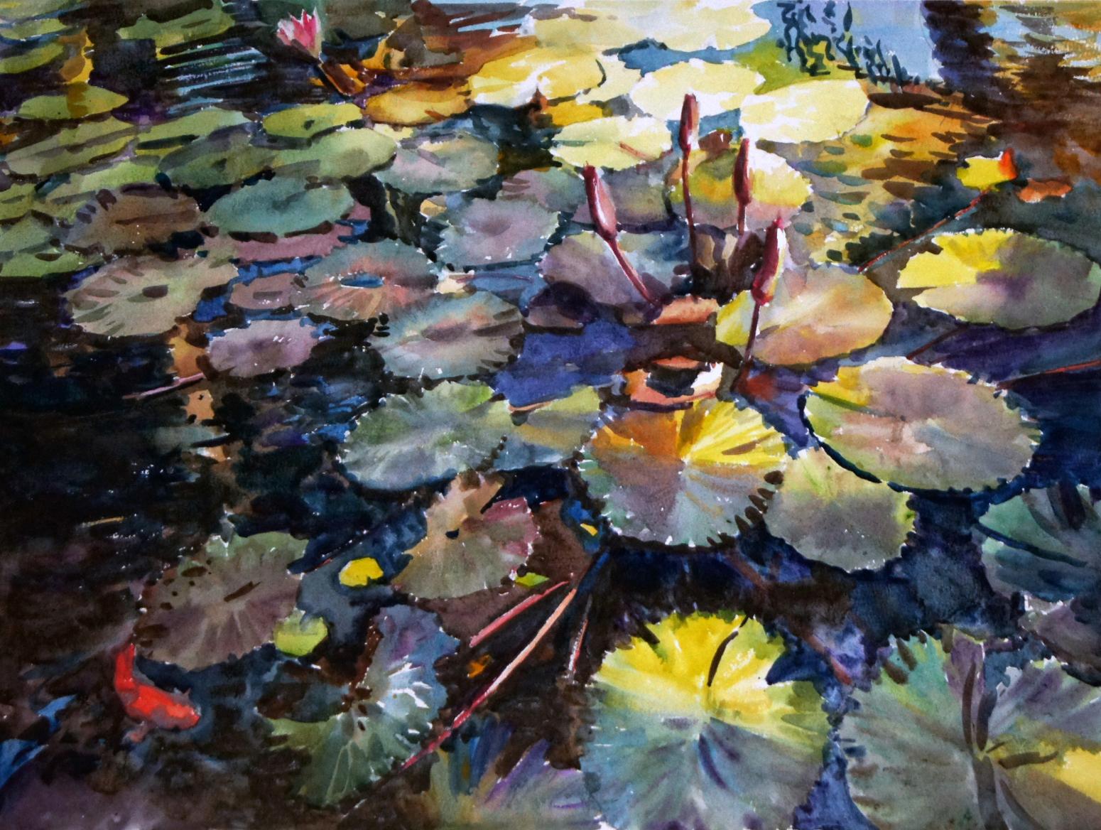 杨阳国画作品《【睡莲】作者杨阳》【图0】