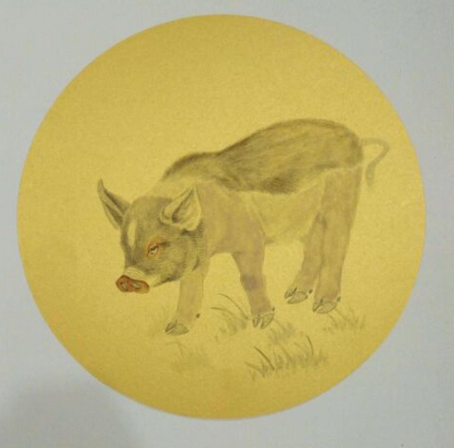 徐水英国画作品《【猪】作者徐水英》【图0】