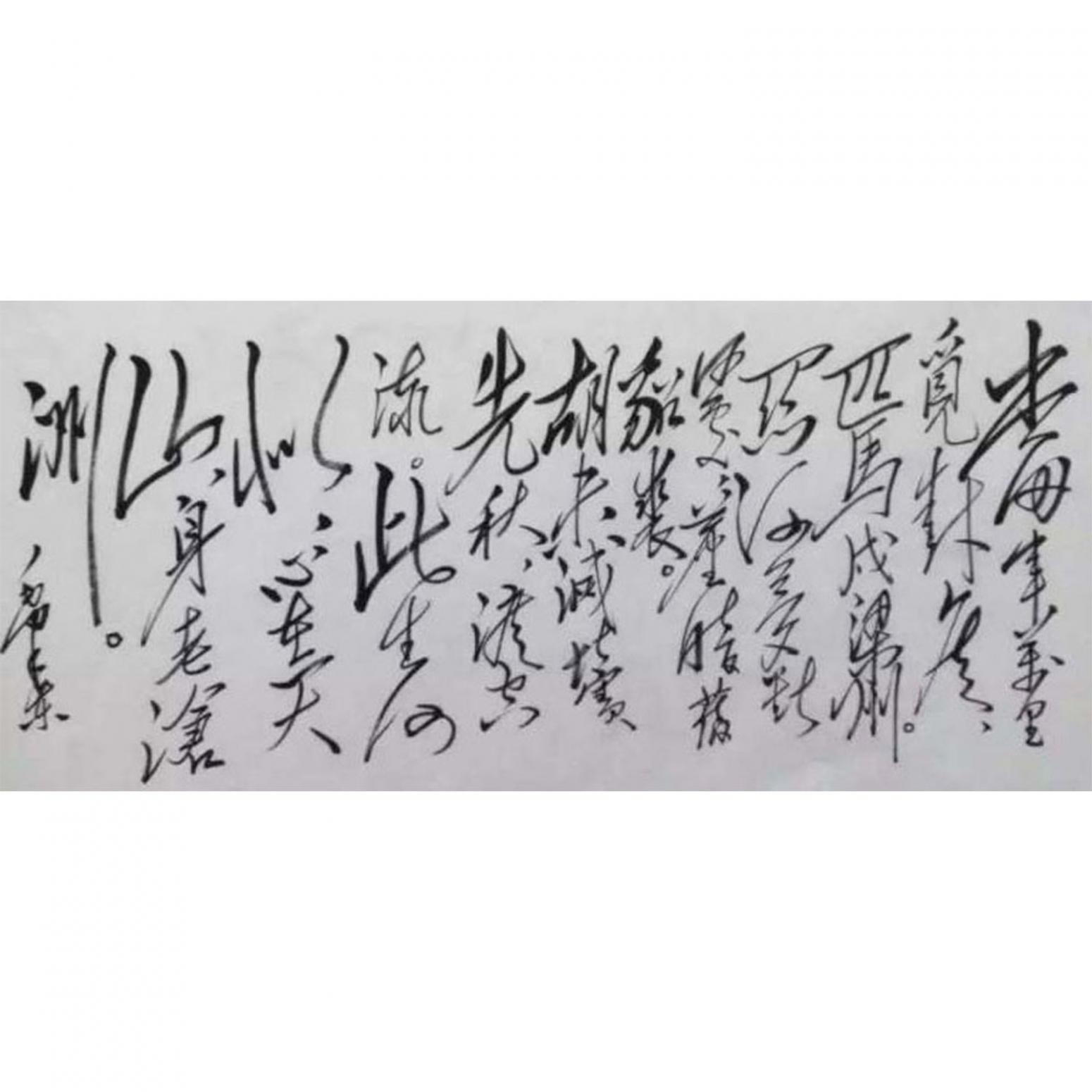 史永强书法作品《【毛泽东诗词】作者史永强》