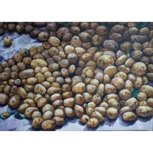 艺术品图片：艺术家孙威国画作品名称《【一地土豆】作者孙威》价格3600.00 元