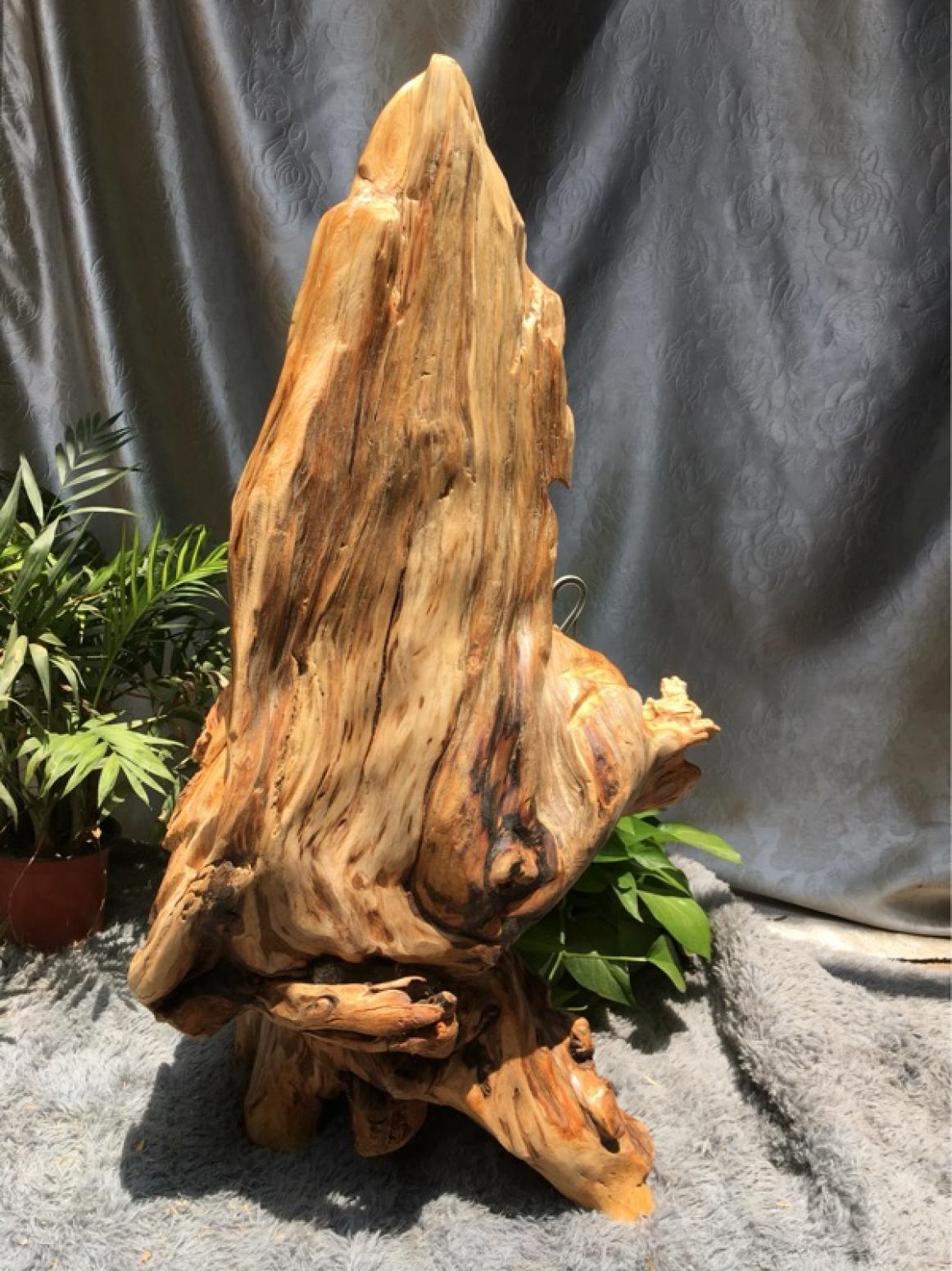 刘木雕刻作品《【孔雀】持有人刘木》【图6】