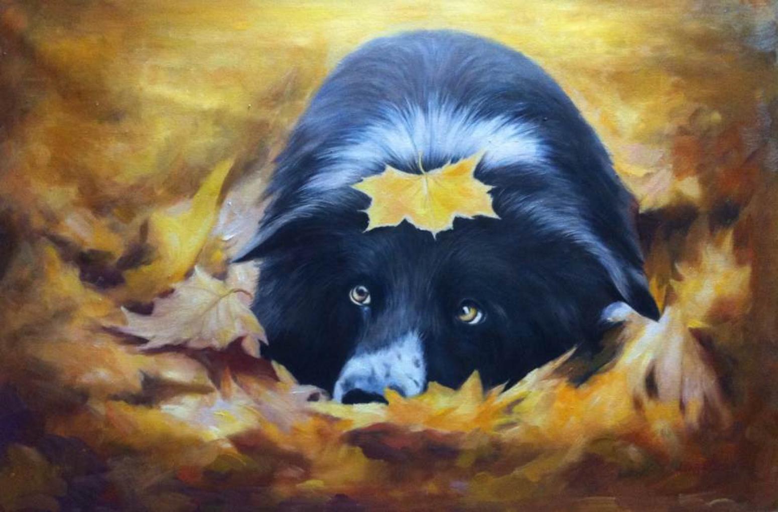 凌振宁油画作品《【动物 油画】作者凌振宁》【图0】