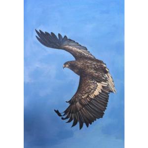 凌振宁油画作品《【油画 动物】作者凌振宁 临摹》价格2400.00元