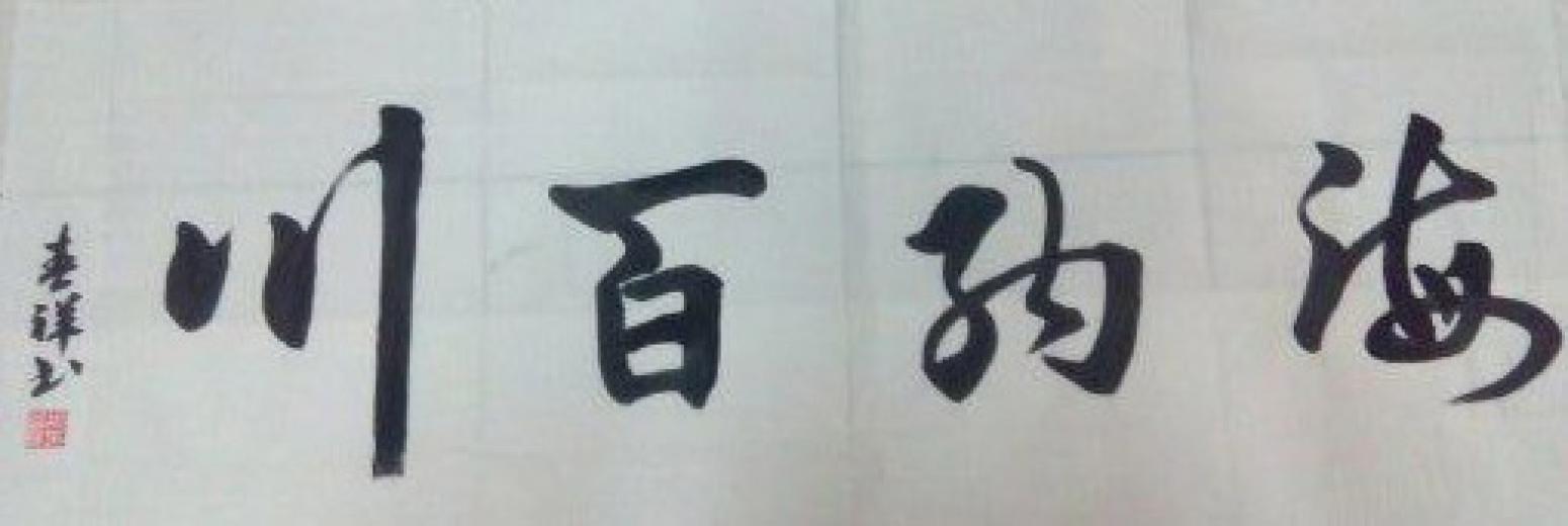 胡春祥书法作品《【海纳百川】作者胡春祥》【图0】