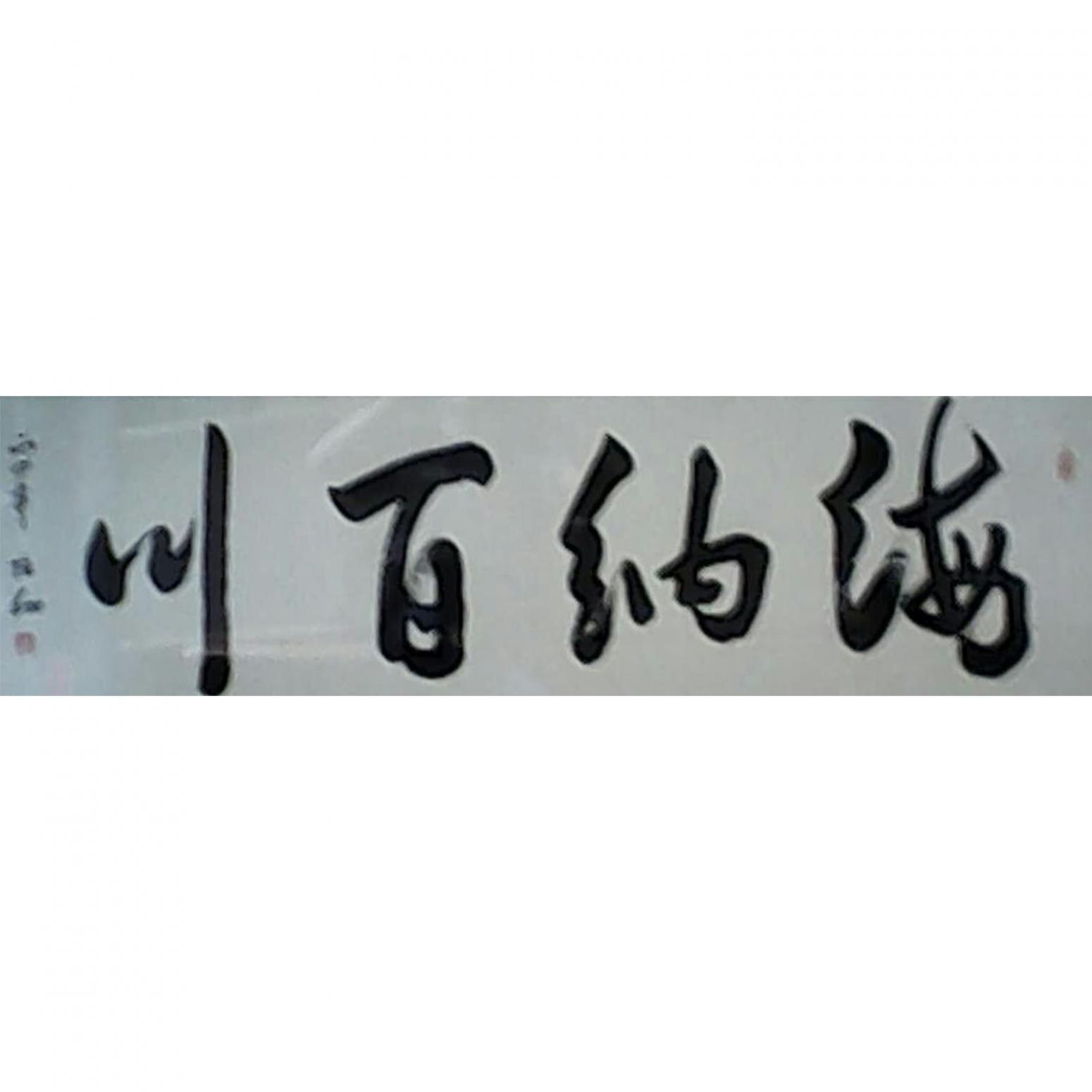 张翔书法作品《【海纳百川】作者张翔》