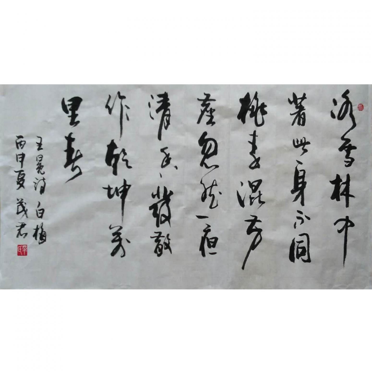 辛茂君书法作品《【书法8】作者辛茂君》