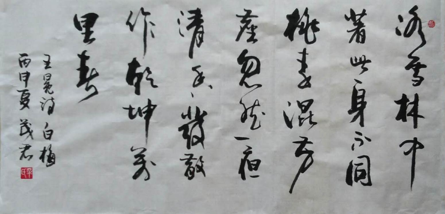 辛茂君书法作品《【书法8】作者辛茂君》【图0】