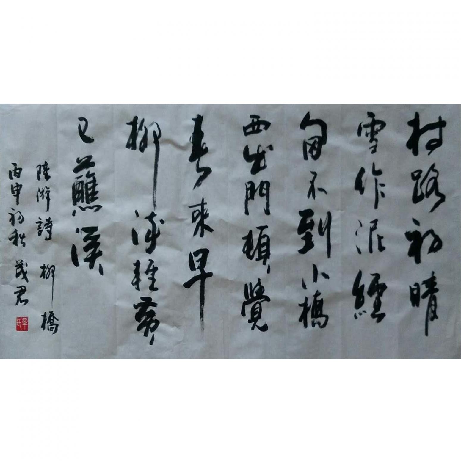 辛茂君书法作品《【书法9】作者辛茂君》