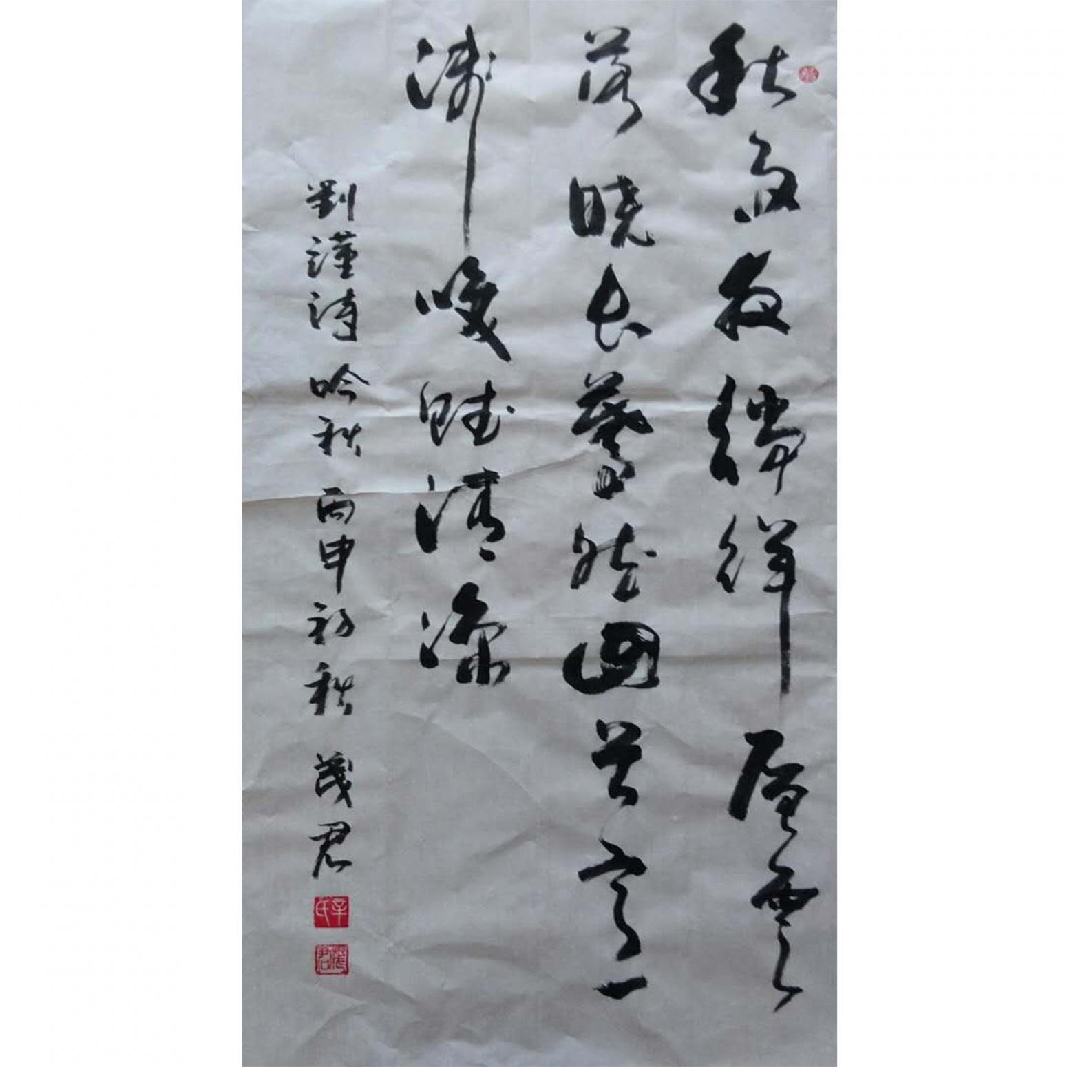 辛茂君书法作品《【书法10】作者辛茂君》