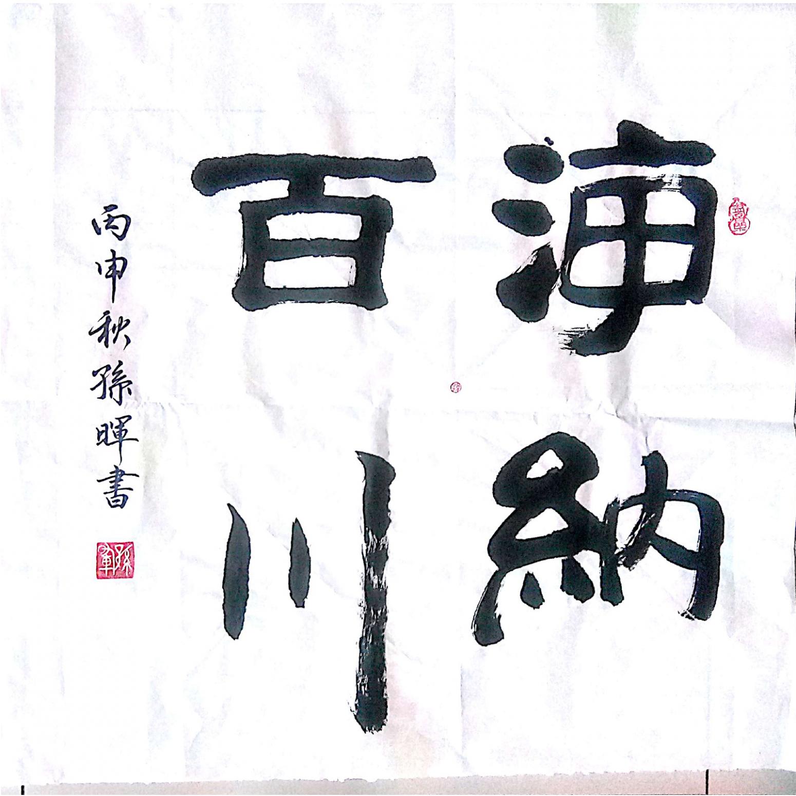 孙晖书法作品《【海纳百川 】作者孙晖》