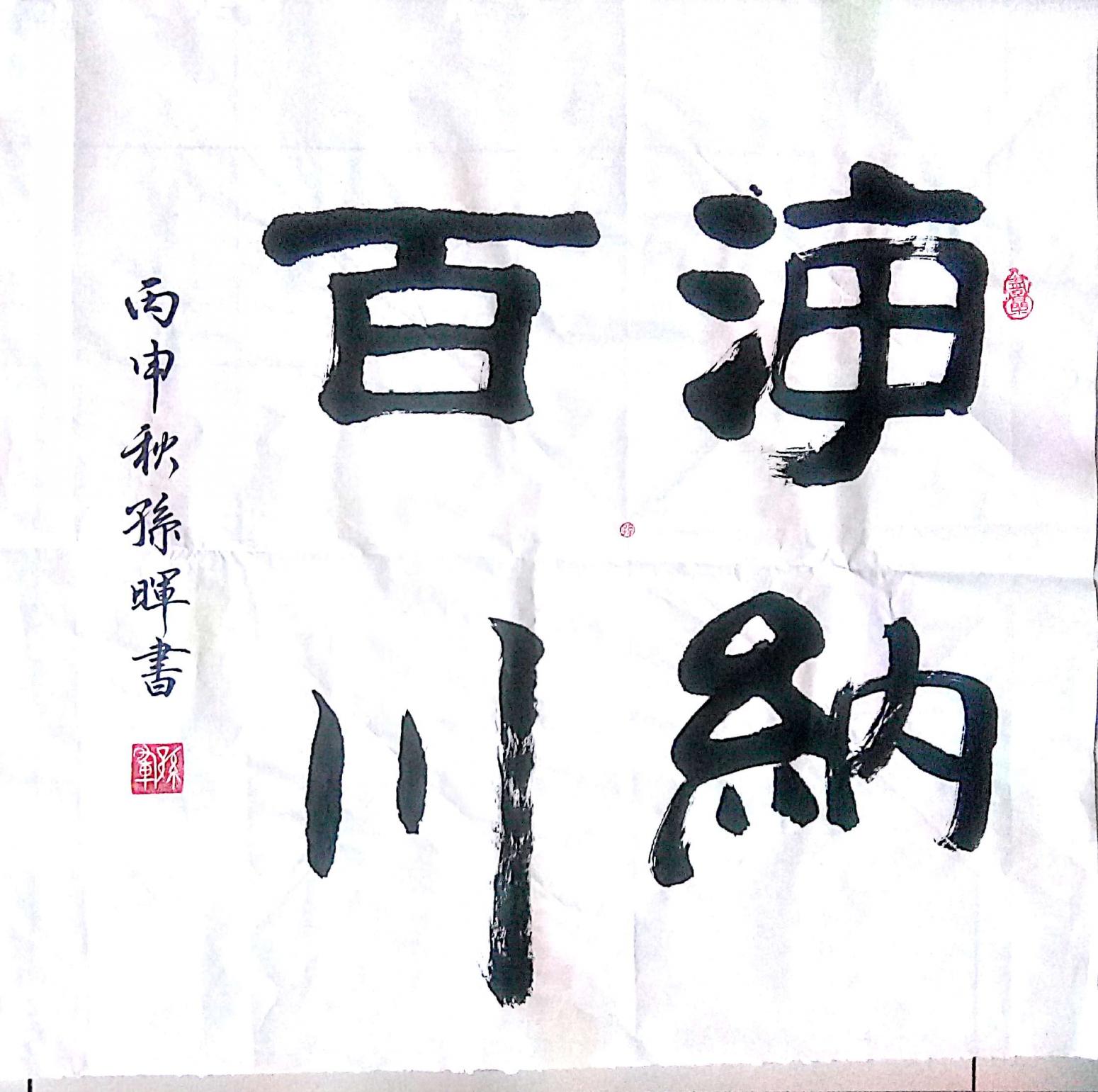 孙晖书法作品《【海纳百川 】作者孙晖》【图0】