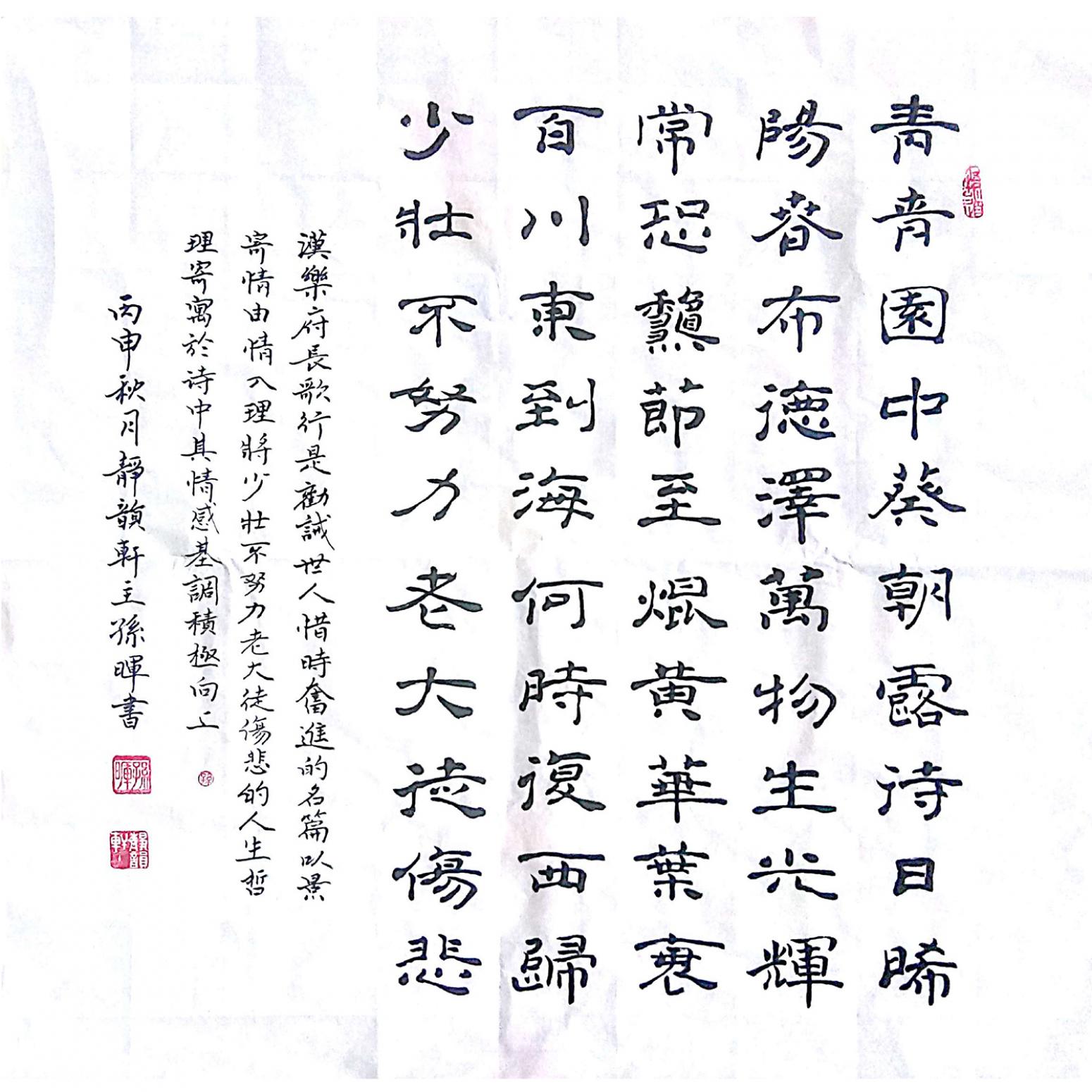 孙晖书法作品《【书法 】作者孙晖》