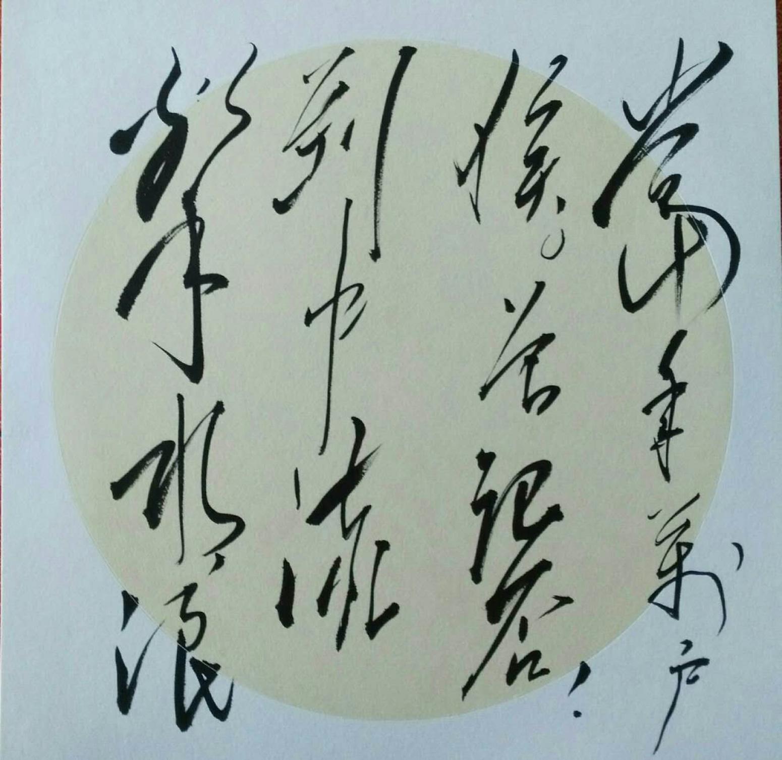 罗杰书法作品《【草书10】作者罗杰》【图0】