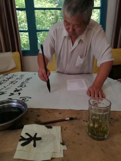 陈宗林日记-兴致来了，【图1】