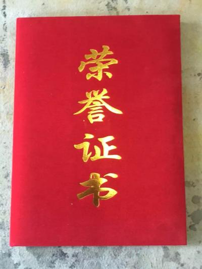 周卫红荣誉-【图2】