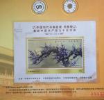 刘慧敏荣誉-【图1】